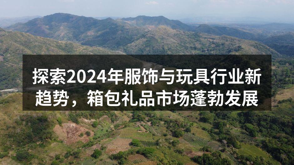 探索2024年服饰与玩具行业新趋势，箱包